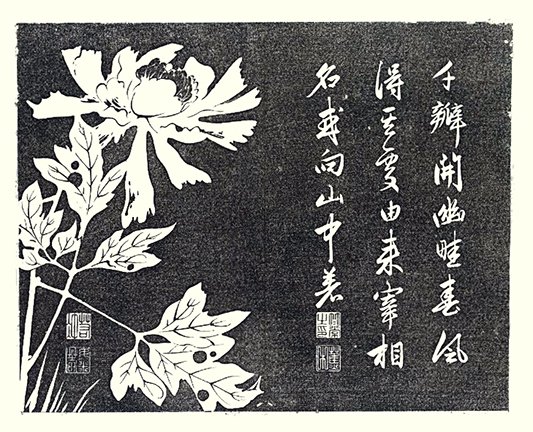 photo10.jpg
