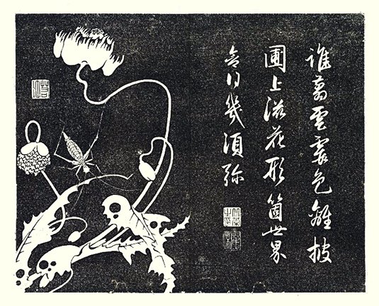 photo13.jpg