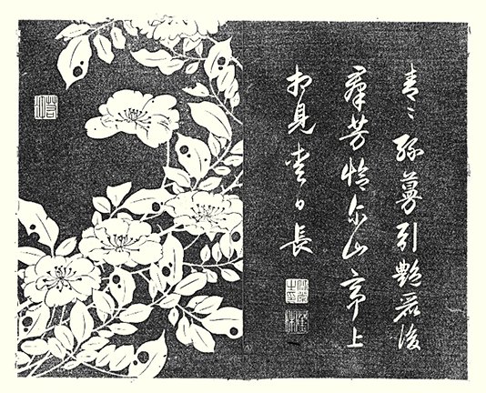 photo2.jpg