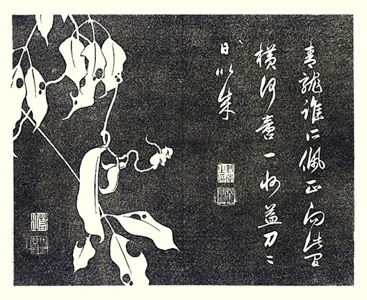photo22.jpg