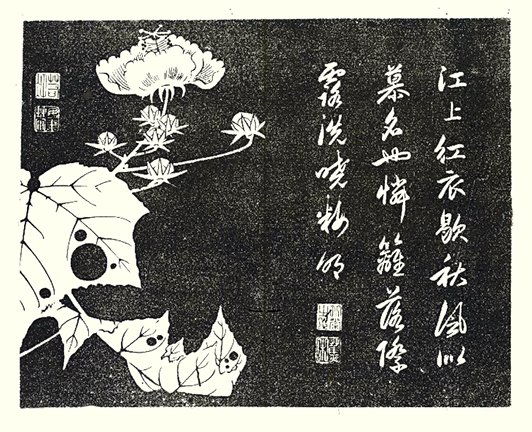 photo31.jpg