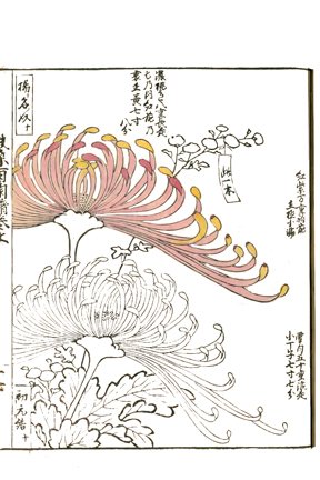 photo11.jpg