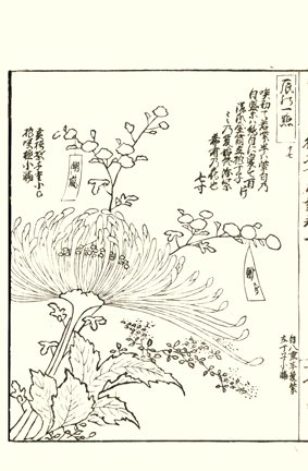 photo12.jpg