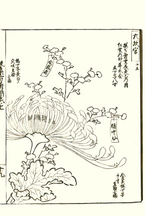 photo14.jpg