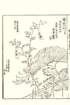 photo15_small.jpg