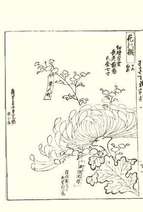 photo18.jpg