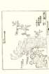 photo18_small.jpg