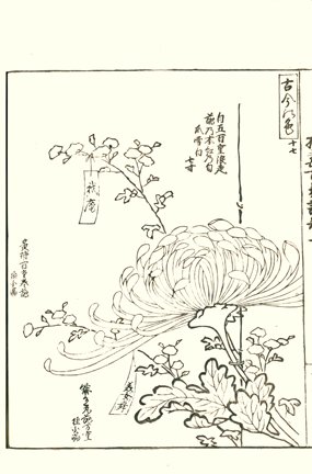 photo21.jpg