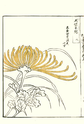 photo22.jpg