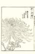 photo25_small.jpg