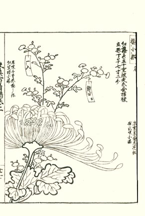 photo26.jpg