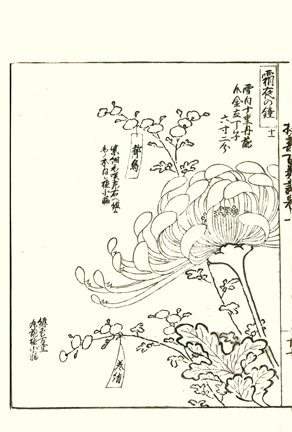 photo27.jpg