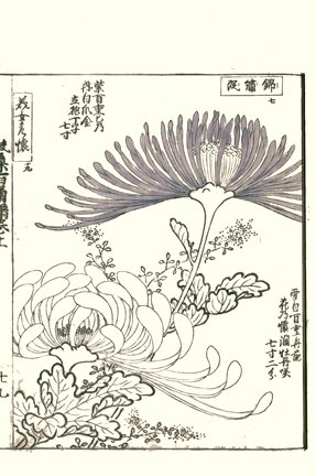 photo29.jpg