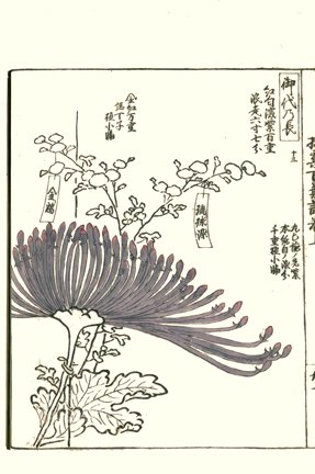 photo33.jpg