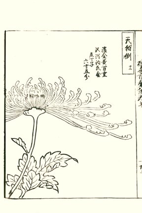 photo34.jpg