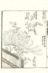 photo36_small.jpg