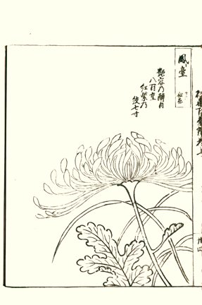 photo37.jpg