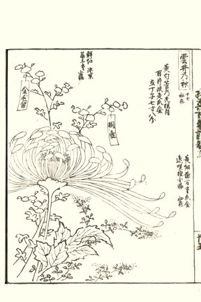 photo39.jpg