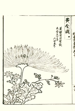 photo40.jpg