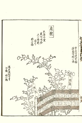 photo45.jpg