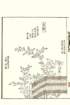 photo45_small.jpg