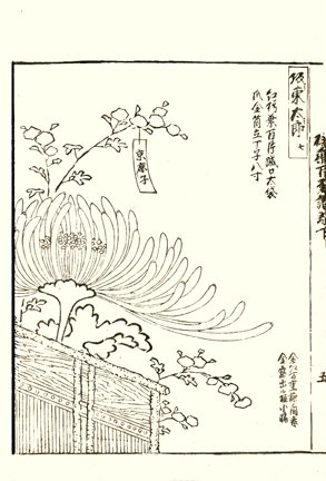 photo48.jpg