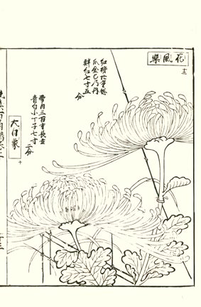 photo5.jpg