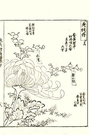 photo52.jpg
