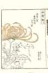 photo54_small.jpg
