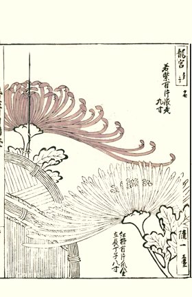 photo55.jpg