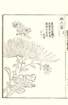 photo57_small.jpg