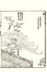 photo58_small.jpg