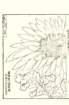 photo60_small.jpg