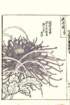 photo69_small.jpg