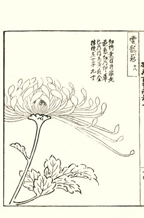 photo7.jpg
