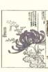 photo71_small.jpg