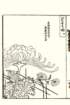 photo72_small.jpg