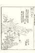 photo78_small.jpg