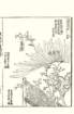 photo79_small.jpg