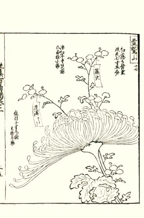 photo8.jpg