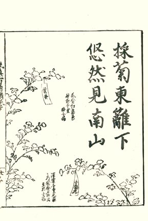 photo86.jpg