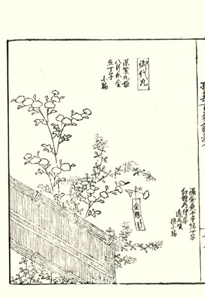 photo87.jpg