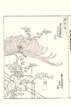 photo9_small.jpg
