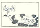 photo10_small.jpg