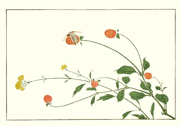 photo13.jpg