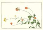photo13_small.jpg