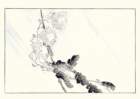 photo18_small.jpg