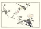 photo21_small.jpg