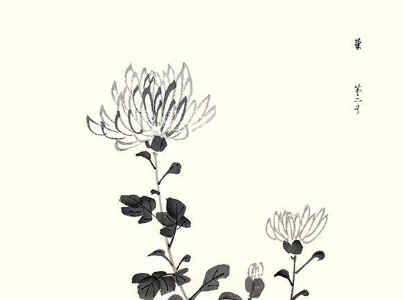 photo9.jpg