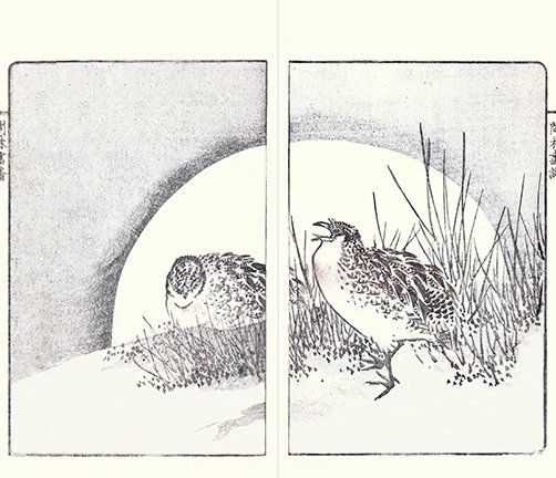 photo25.jpg